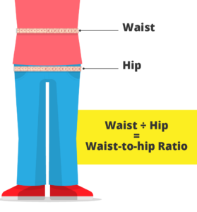 Waist to Hip Ratio