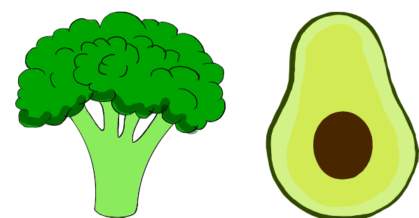 Fiber