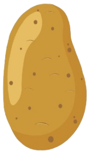 potato