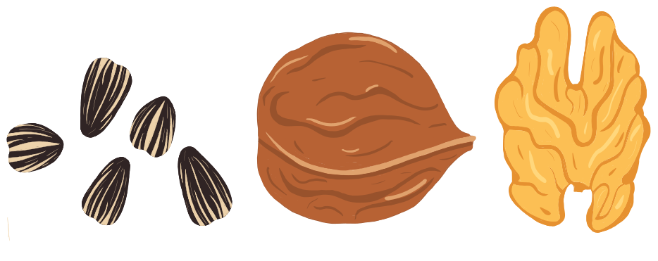 Omega-6 Fatty Acids