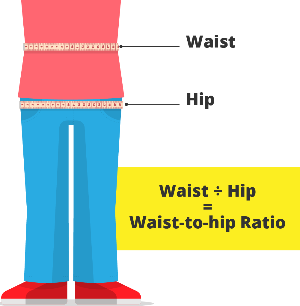 Waist-to-Hip Ratio